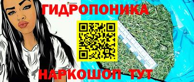 МДПВ Новозыбков