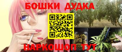МДПВ Новозыбков