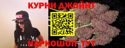 МДПВ Новозыбков