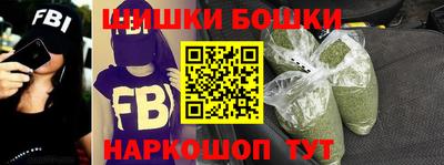 МДПВ Новозыбков