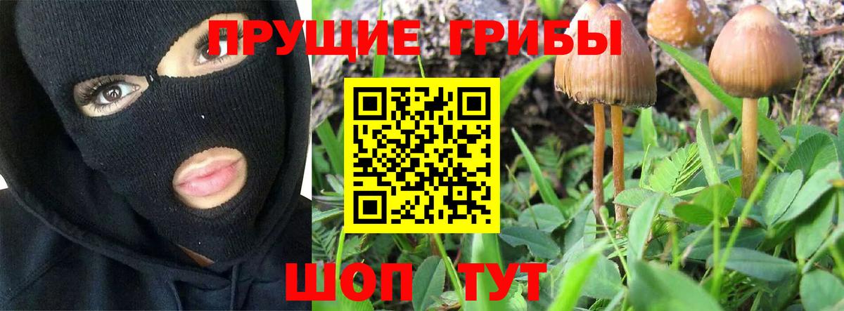 Псилоцибиновые грибы мухоморы  Вход с VPN  Галлюциногенные грибы GOLDEN TEACHER  даркнет сайт  Севастополь 