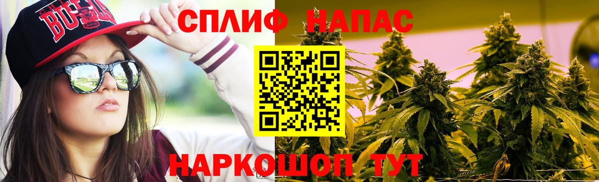 Бошки Шишки VHQ Севастополь